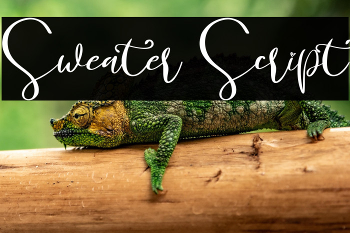 Sweater Script Example 2