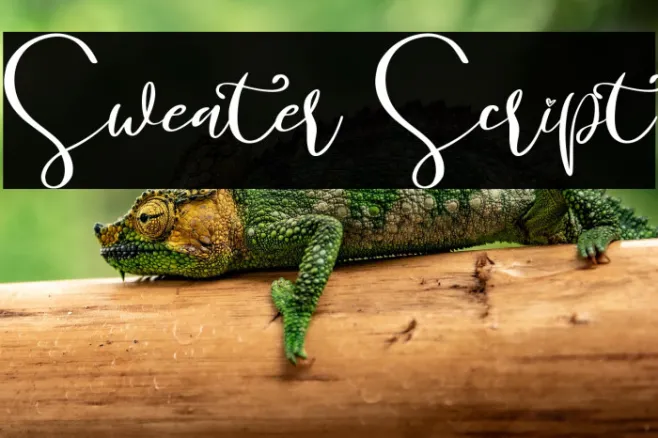 Sweater Script Example 2