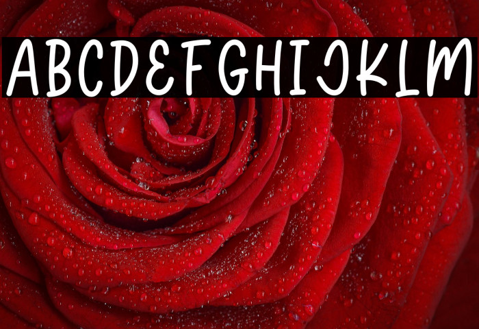 Sweater Weather Example 2