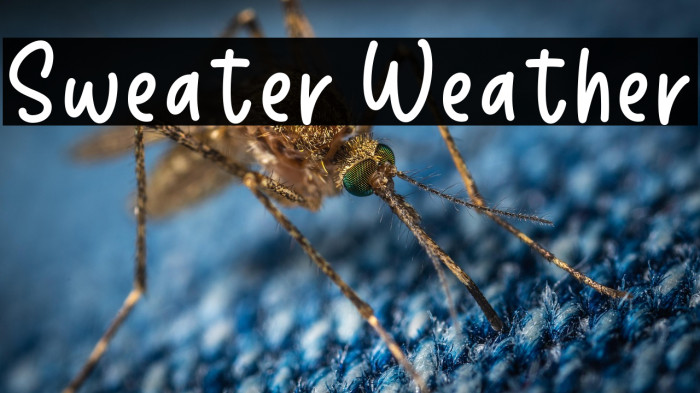 Sweater Weather Example 2