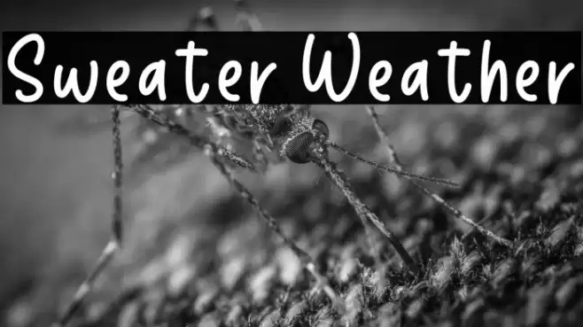 Sweater Weather Font examples