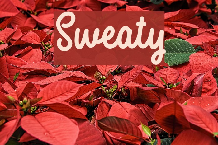 Sweaty Font examples