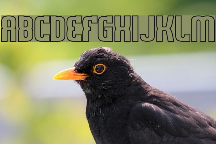 Sweden Funkis Outlined Font examples