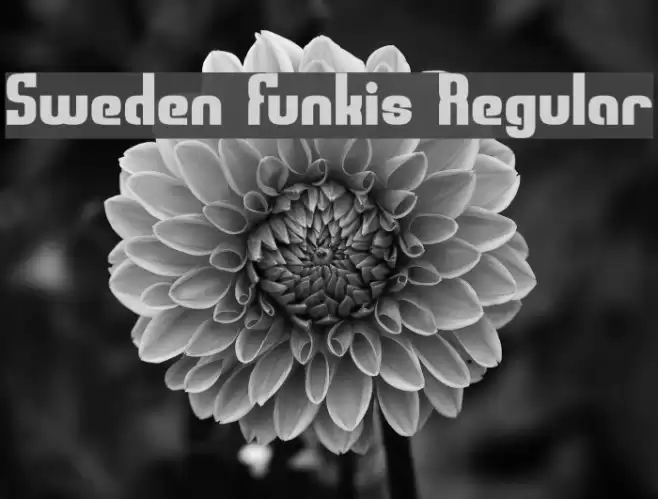 Sweden Funkis Regular Font examples