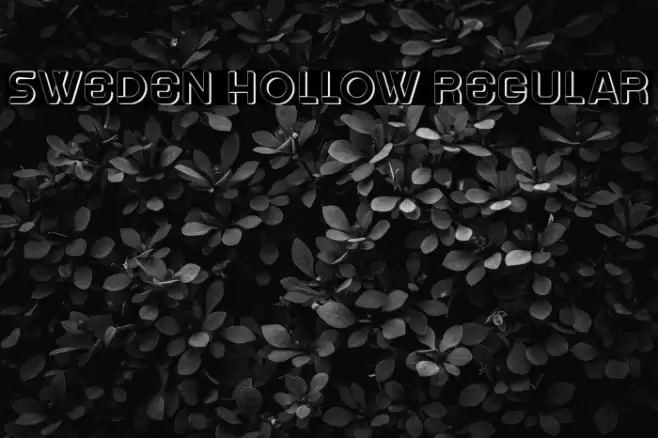 Sweden Hollow Regular Font examples