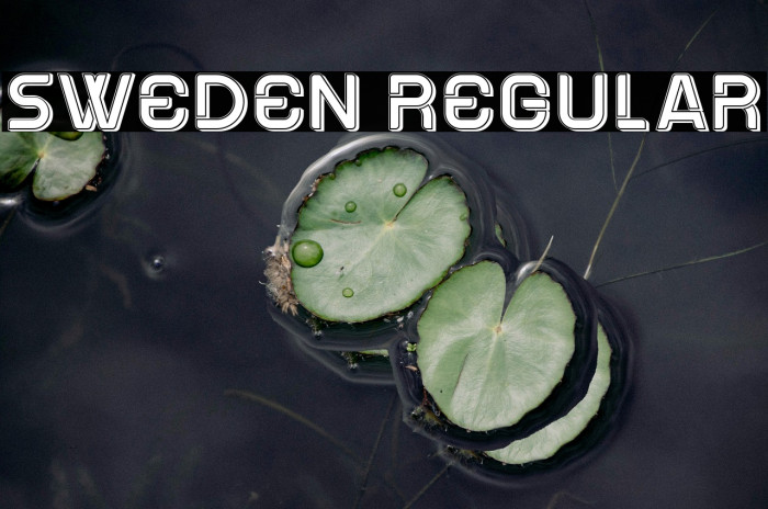 Sweden Regular Example 2