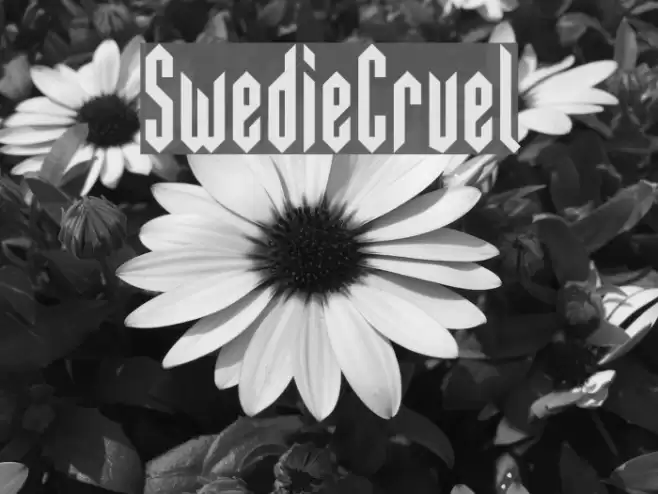 SwedieCruel Font examples