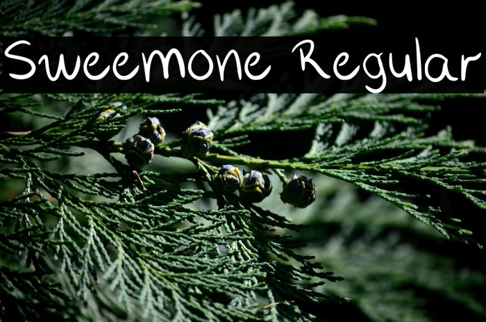 Sweemone Regular Example 1