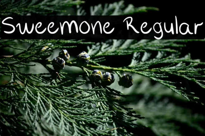 Sweemone Regular Example 1