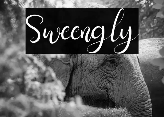 Sweengly Font examples