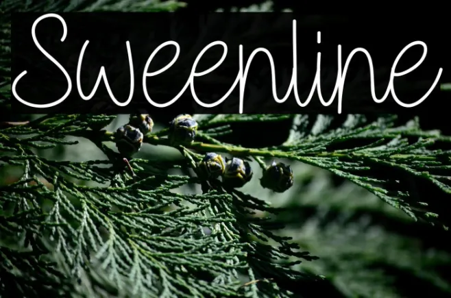 Sweenline Example 3