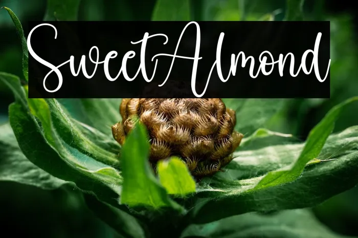 Sweet Almond Example 1