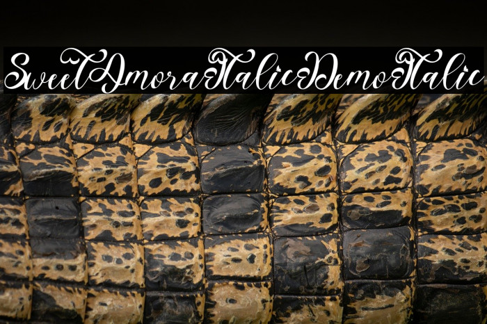 Sweet Amora Italic Demo Italic Example 1