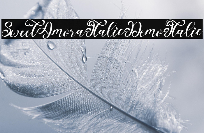 Sweet Amora Italic Demo Italic Example 2