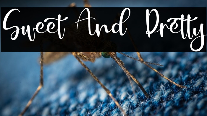 Sweet And  Pretty Example 3