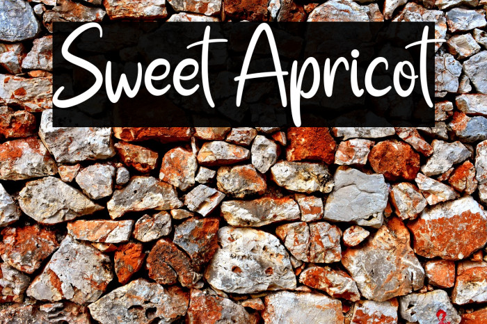 Sweet Apricot Example 1