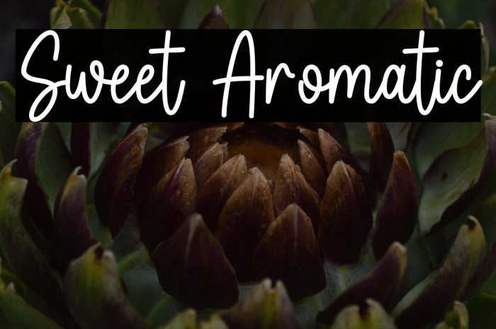 Sweet Aromatic Caratteri examples
