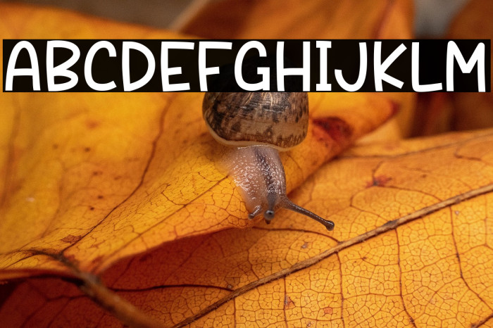 Sweet Autumn Example 1