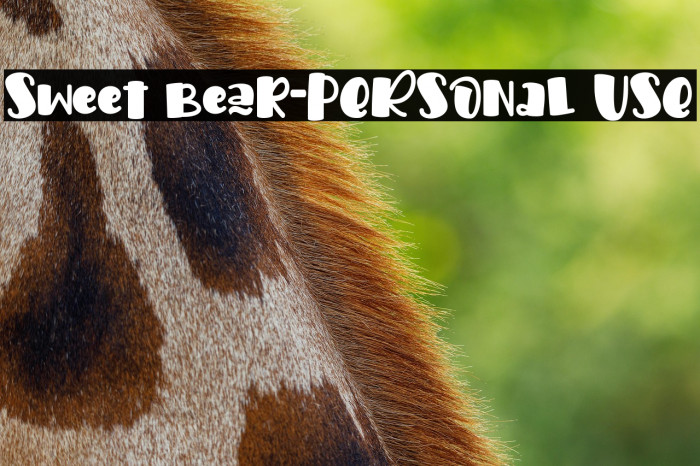 Sweet Bear-PERSONAL USE Example 2
