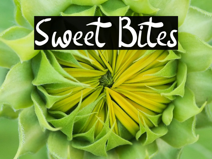 Sweet Bites Example 3