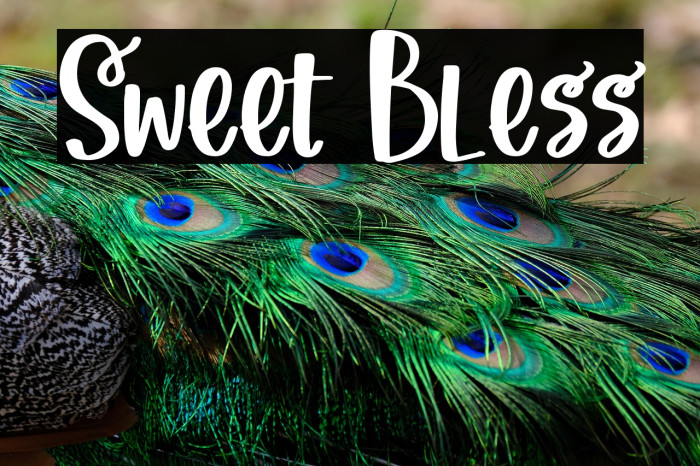 Sweet Bless Example 1