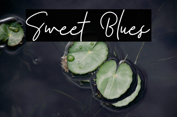 Sweet Blues Example 3