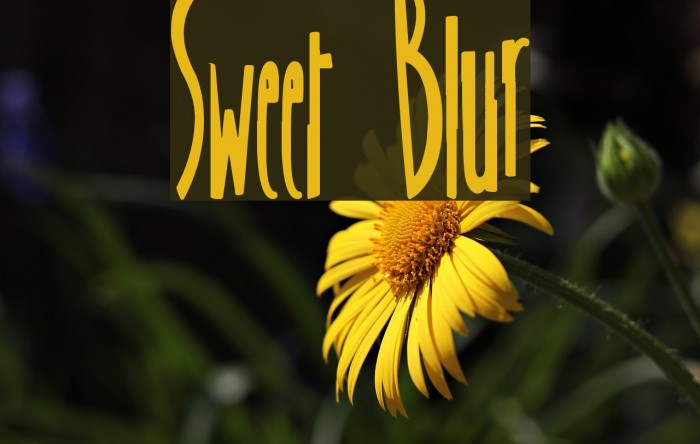 Sweet Blur Example 2