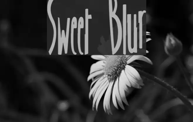 Sweet Blur Font examples