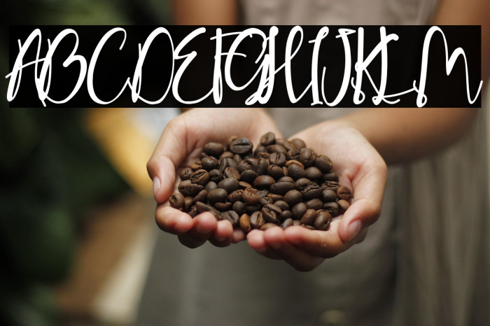 Sweet Butterfly Example 3