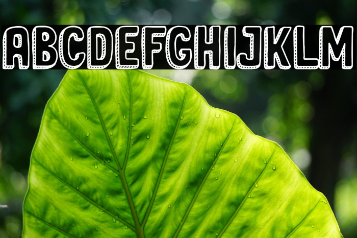 Sweet Cake Font examples
