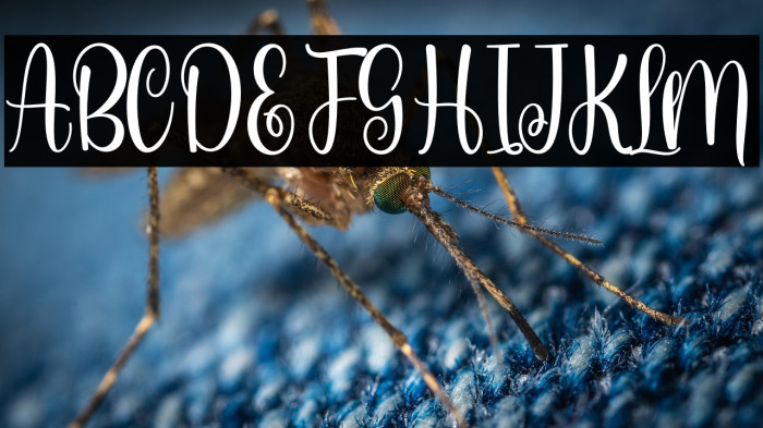 Sweet Cakery Personal Use Example 3