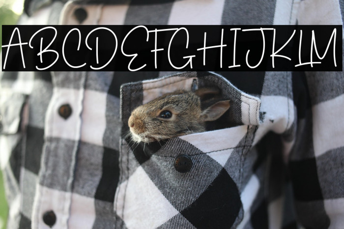 Sweet Candies Example 1