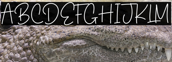 Sweet Candies Example 2