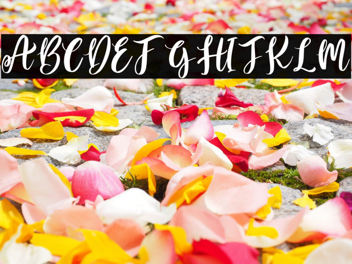 Sweet Candy Personal Use Example 2