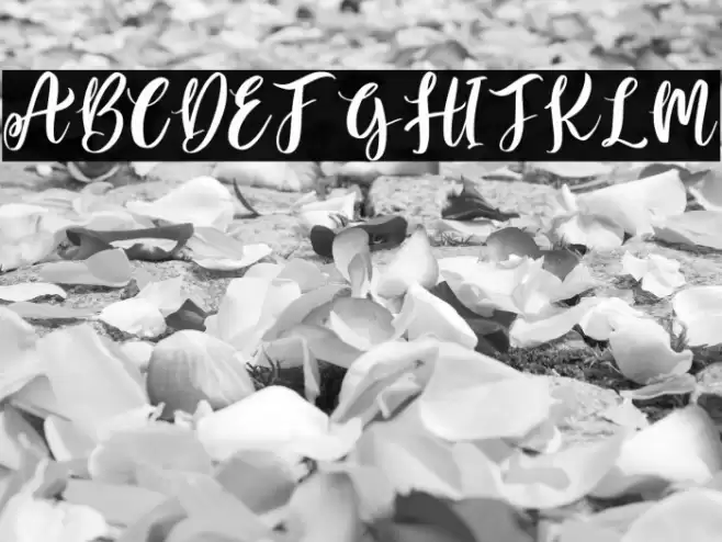 Sweet Candy Personal Use Font examples