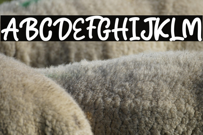 Sweet Candy Example 1