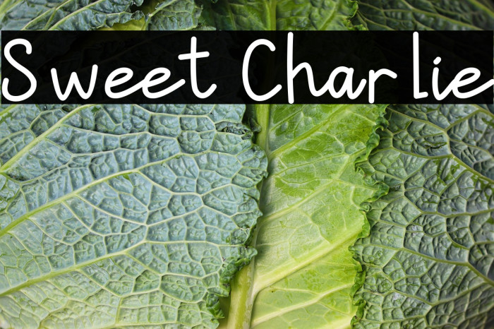 Sweet Charlie Example 1