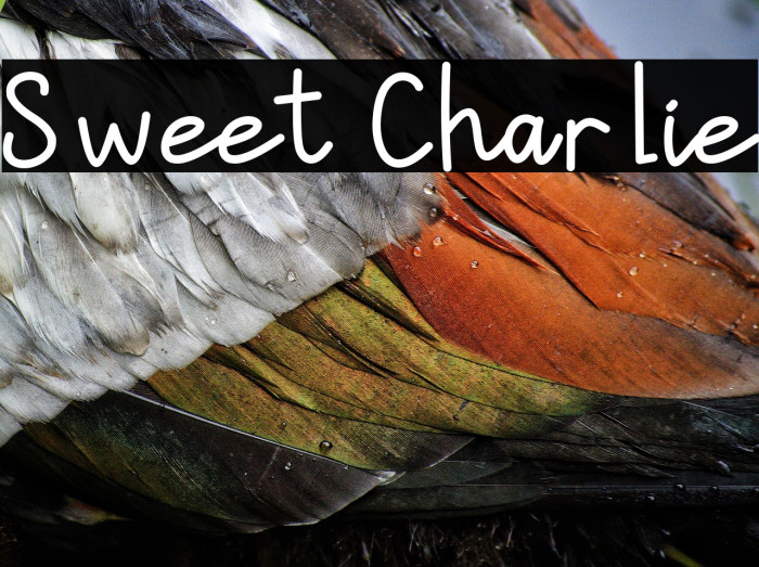 Sweet Charlie Example 2