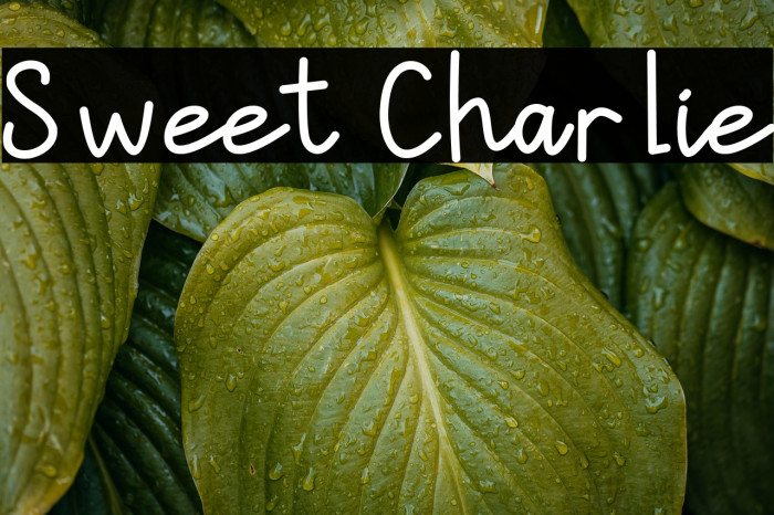 Sweet Charlie Example 3