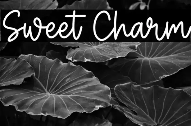 Sweet Charm Font examples