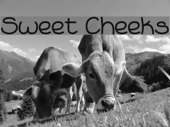 Sweet Cheeks خط examples
