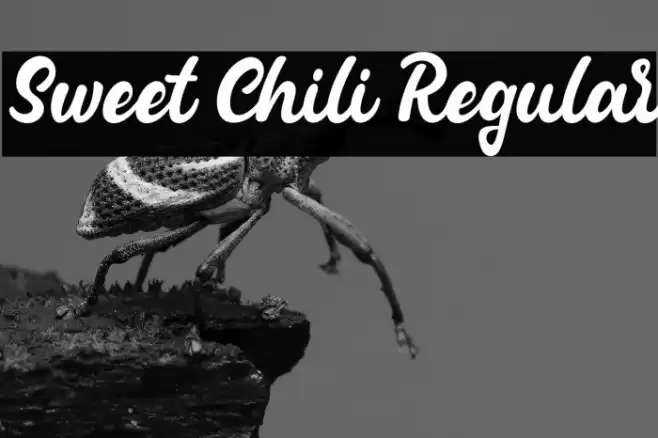Sweet Chili Regular Font examples