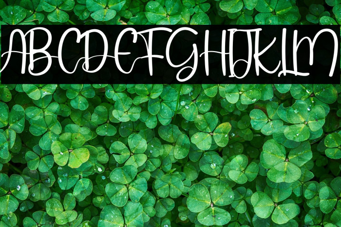 Sweet Chocolate Example 2