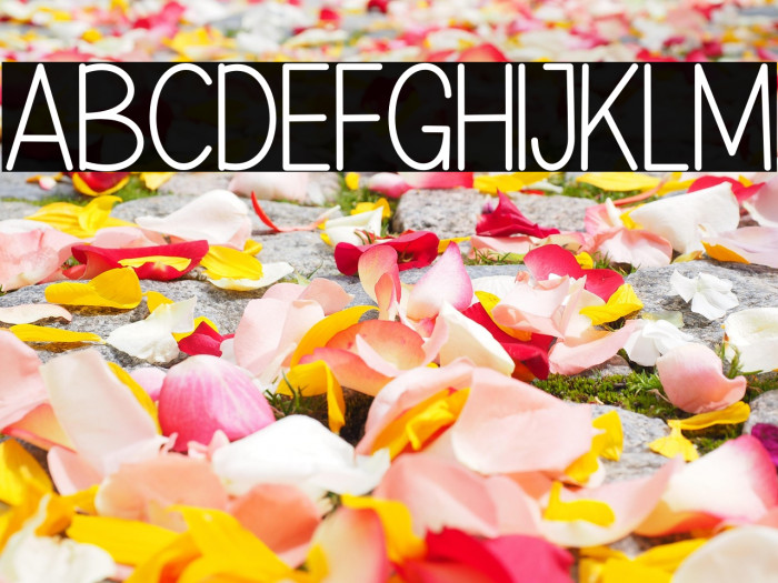 Sweet Corn Example 1