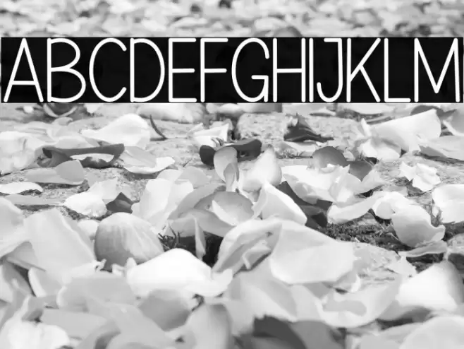 Sweet Corn Font examples