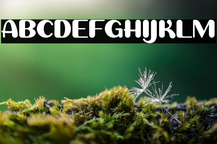 Sweet Creamy Example 1