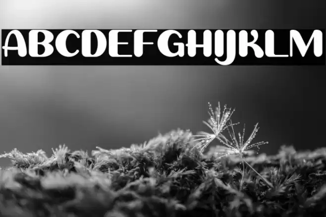 Sweet Creamy Caratteri examples