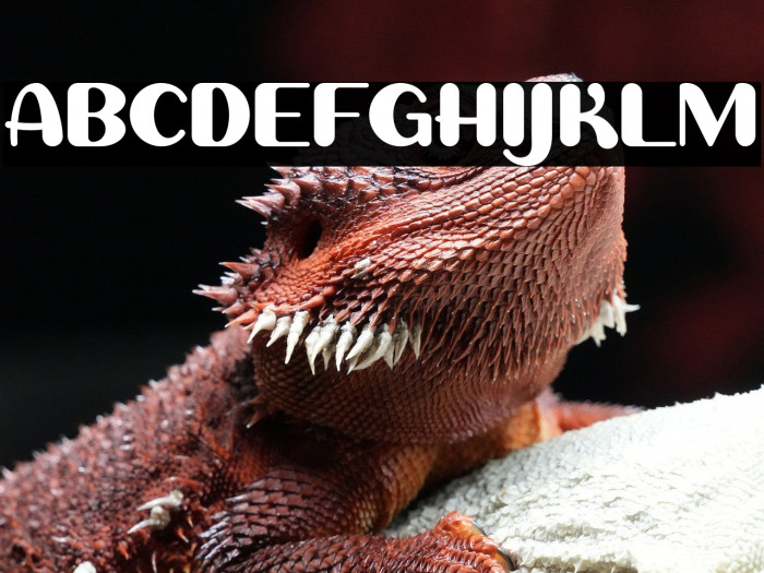 Sweet Creamy Example 2