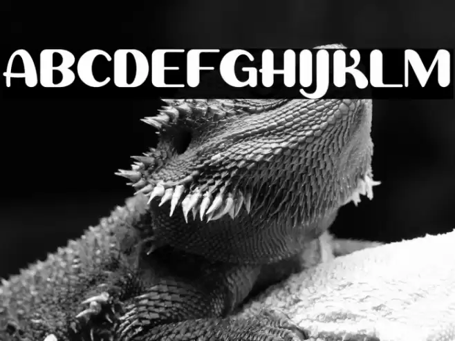 Sweet Creamy Caratteri examples