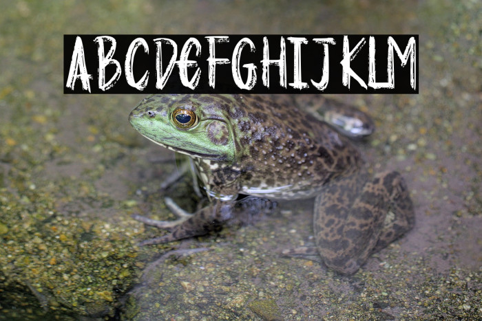 Sweet Disposition Example 1